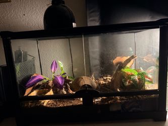 Ten gallon reptile enclosure
