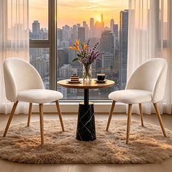 Dining Chairs Set of 2, Modern Velvet