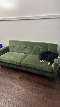 Midcentury Couch for Sale