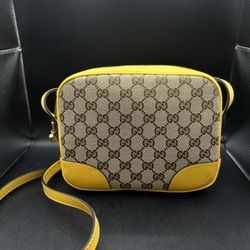 Gucci Purse 