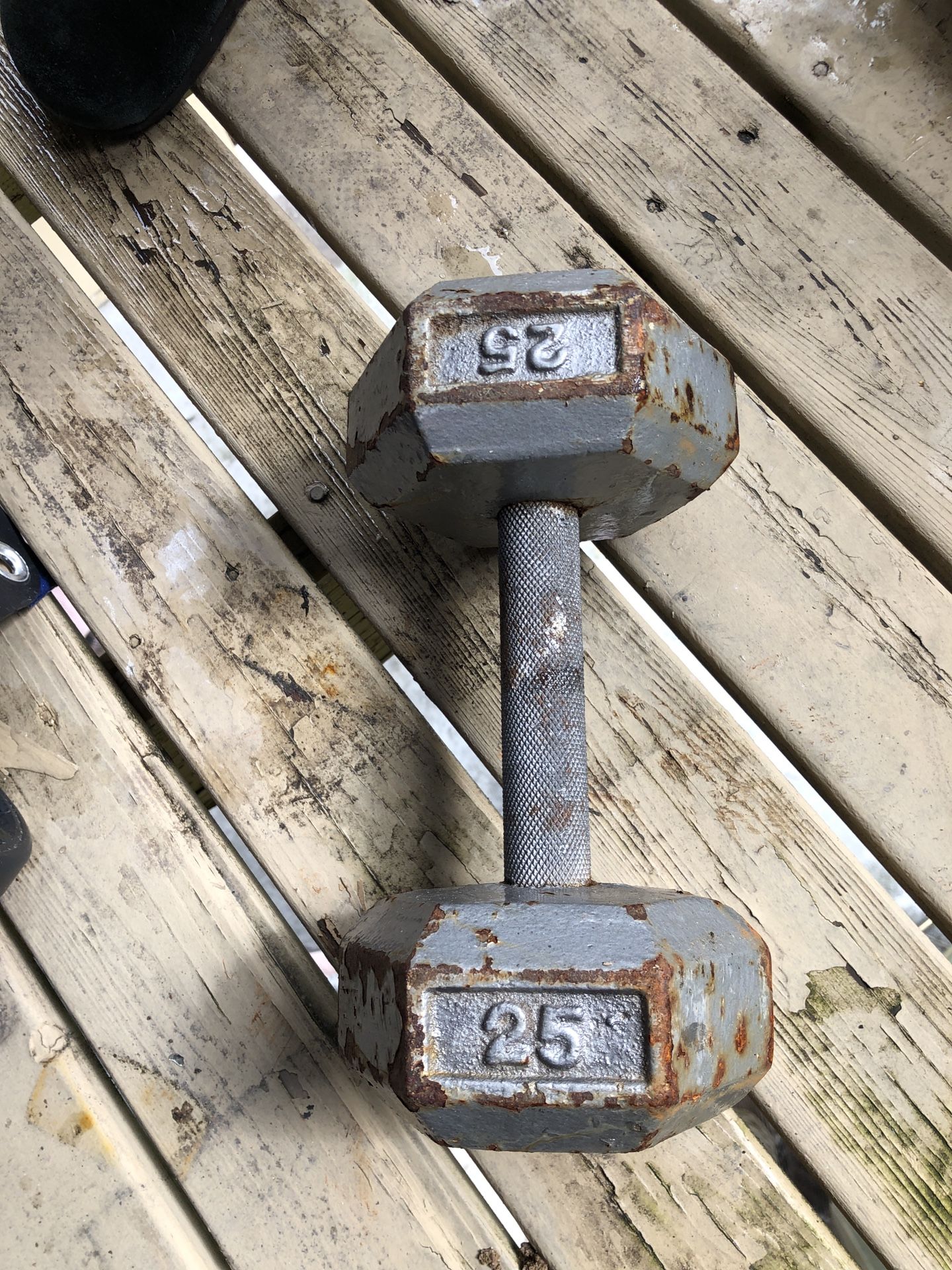 25 Lb Dumbbell
