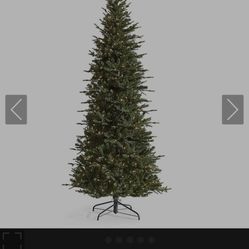 Christmas Tree w/Lights