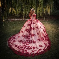 Quincenera Dress 