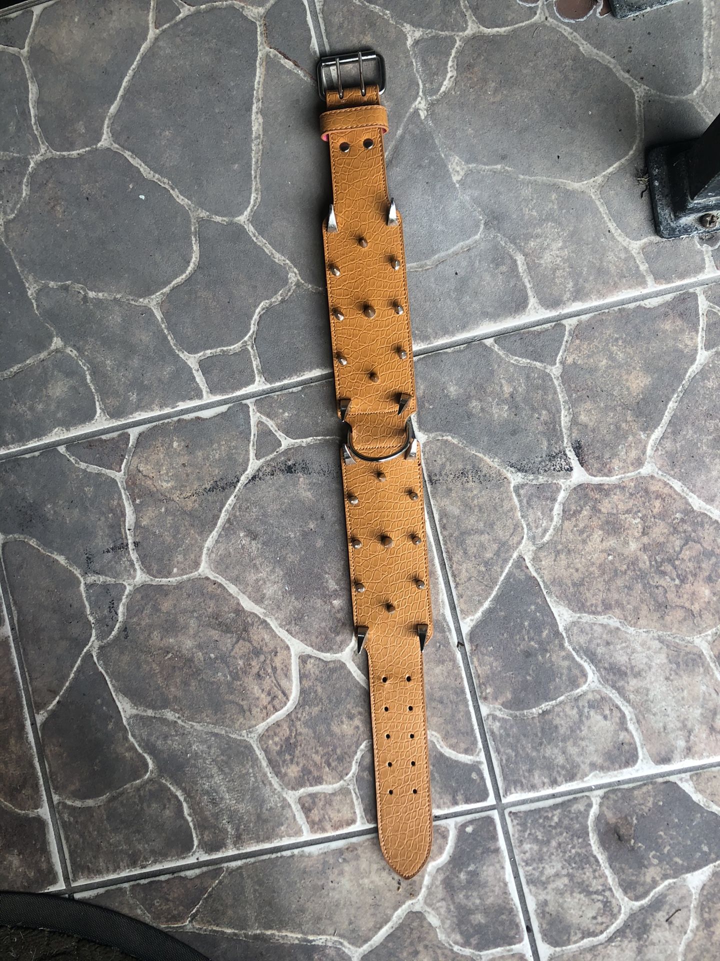 Leather dog collar