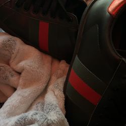 BLACK GUCCI ACES