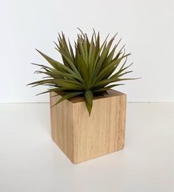8” Artificial Succulent Plant in 4” Wooden Square Container