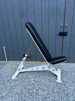 Weights Bench