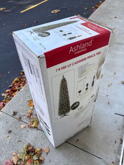 Christmas Tree - Ashland 7’’ Prelit Cashmere