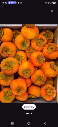 Fuyu Persimmons