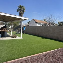 Artificial Grass $123