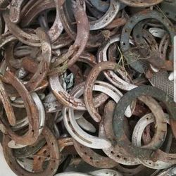 Horse shoes
