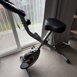 Exerpeutic Folding bike