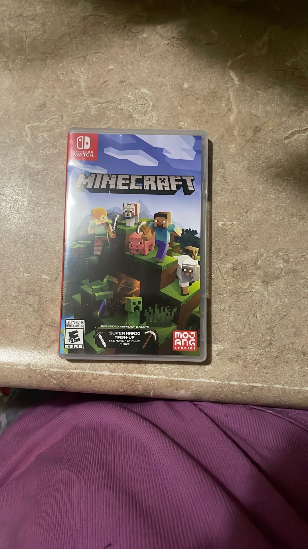 Nintendo Switch Minecraft