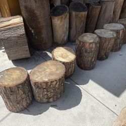 Wood Stumps 