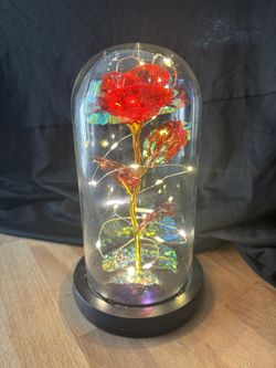 Rose In Glass