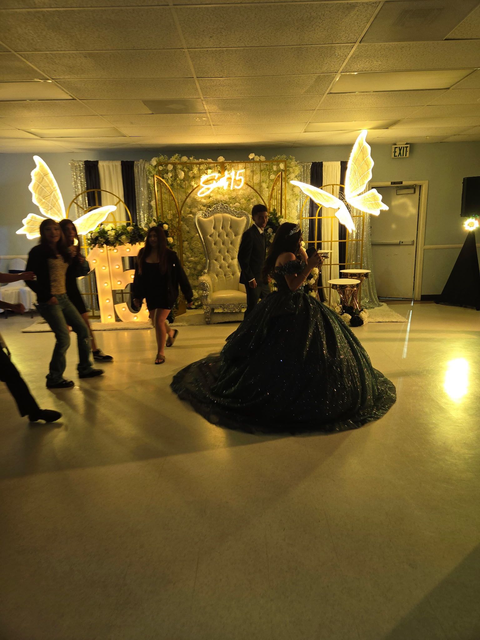 navy blue butterfly sparkly quince dress 