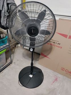 Fans