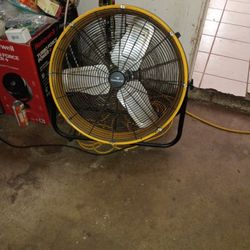 Fan