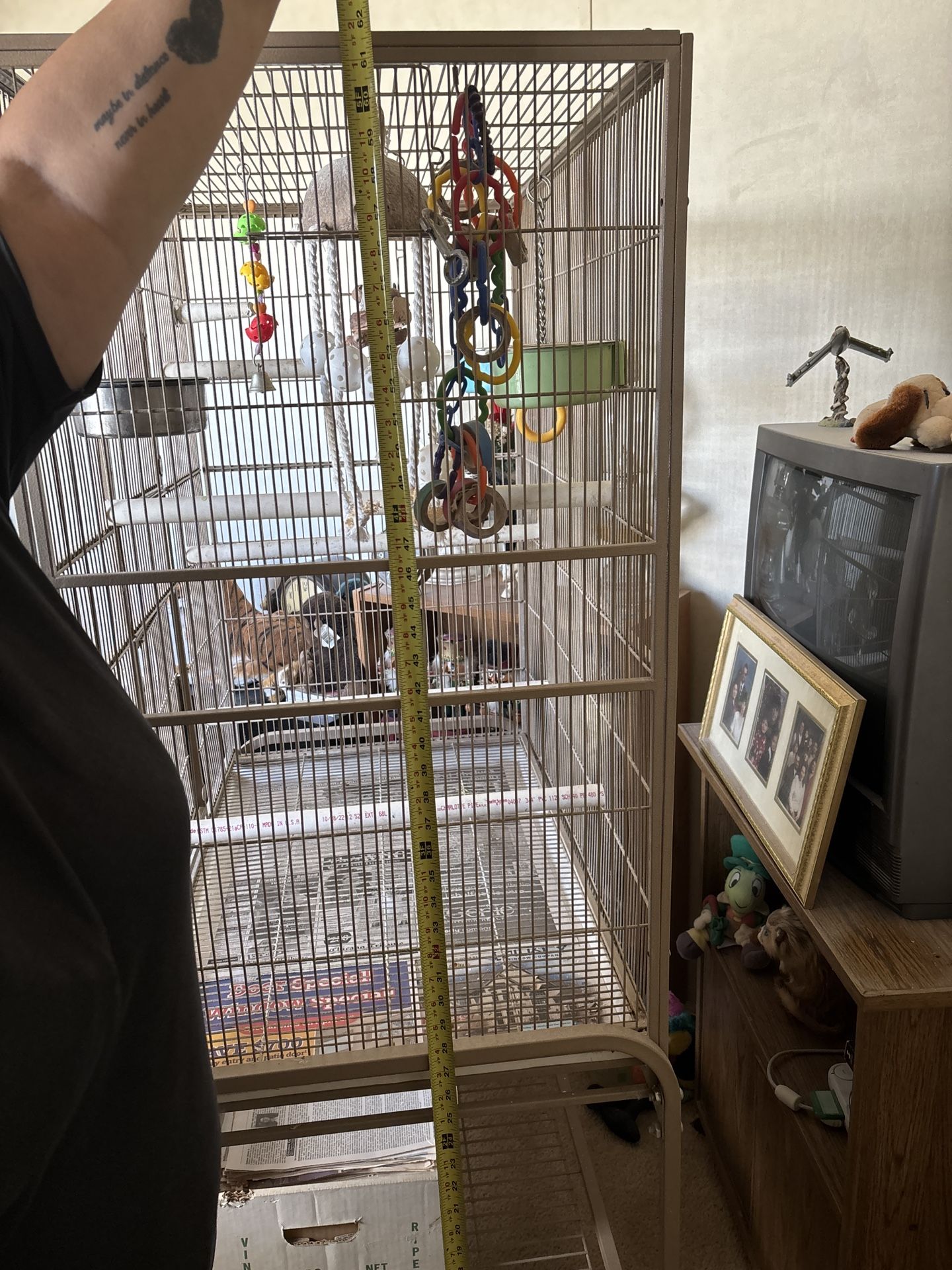 Bird Cage
