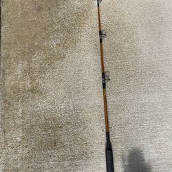 Salt Water Fishing Rod And Reel