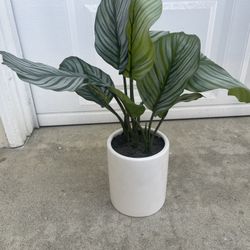 Artificial Plant
