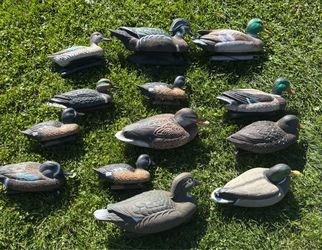 Duck decoys decoy hunting mallard