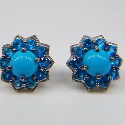 Arizona, Sleeping Beauty. Turquoise Earrings.