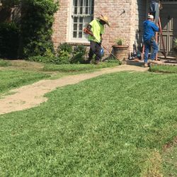 Lawn Mower 