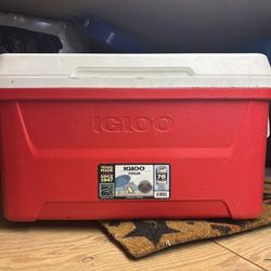 Igloo Cooler 