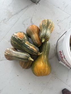 Calabazas Riquisimas