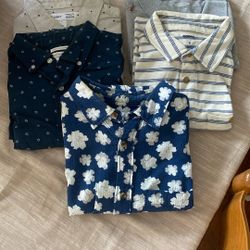 Button Downs & Polos