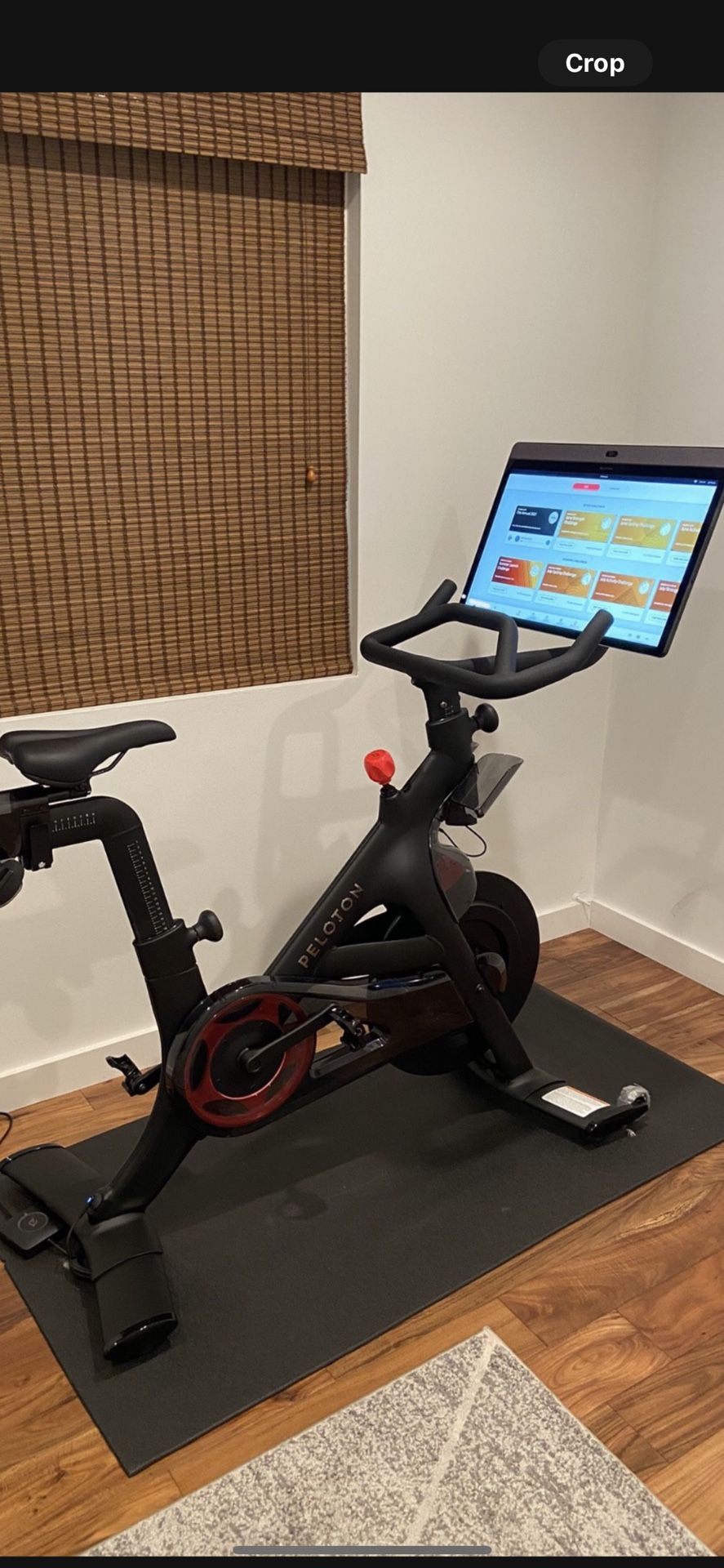 Pelaton Bike Plus+