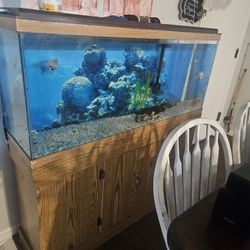 75 Gallon & 100 Gallon 