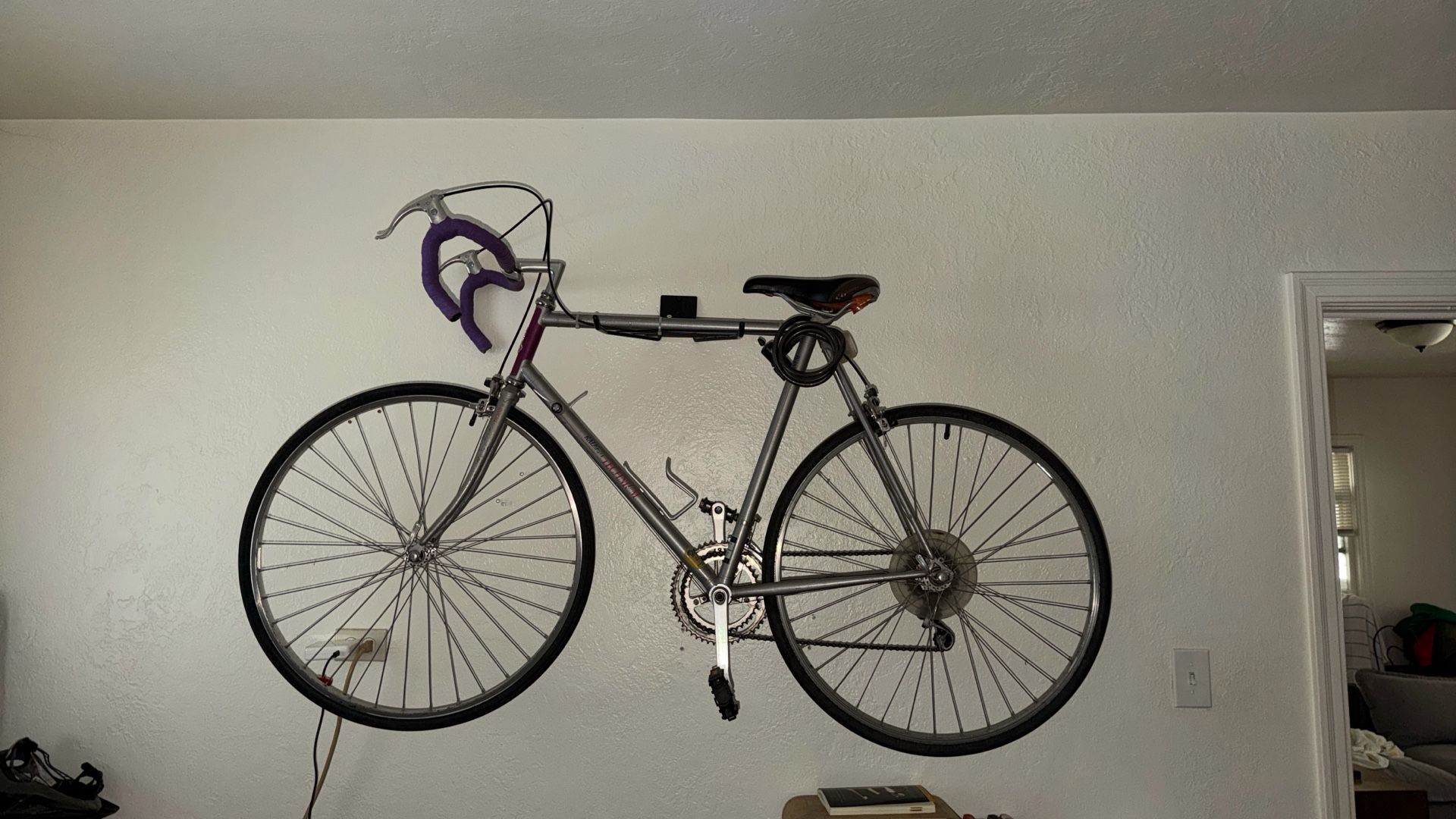 Vintage Raleigh Technium Bike $250