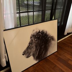 Lion Portrait 