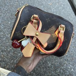 Louis Vuitton Nano Speedy