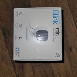 Blink Mini Security Camera 
