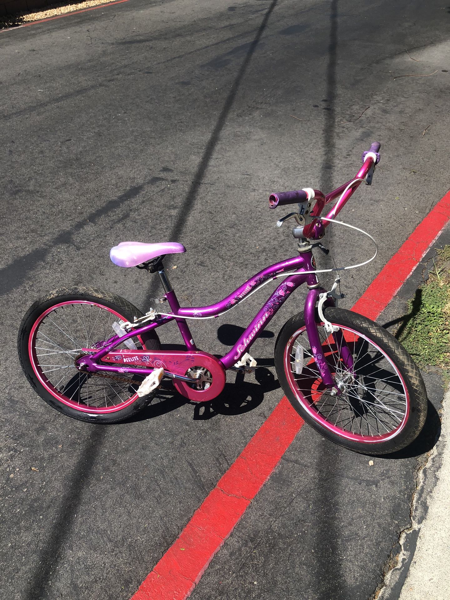 EElite Schwinn Really Good 