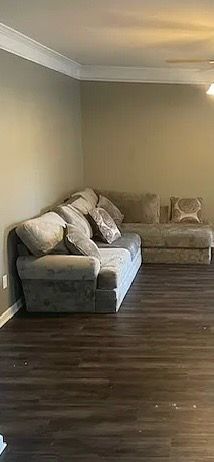 Groovy sectional couch
