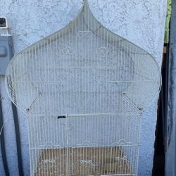 Bird Cage 