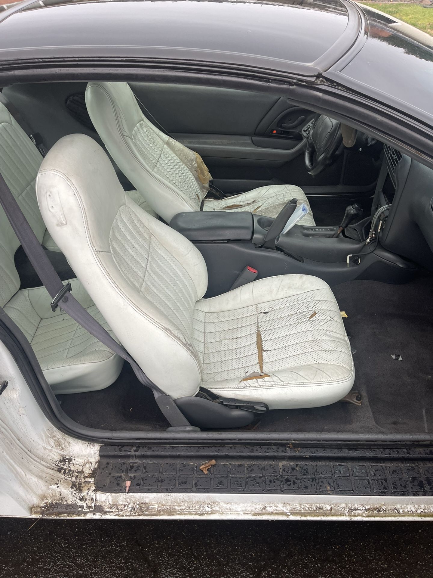 Camaro Seats