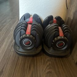 Bow flex Dumbbell Set