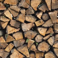 Firewood for sell