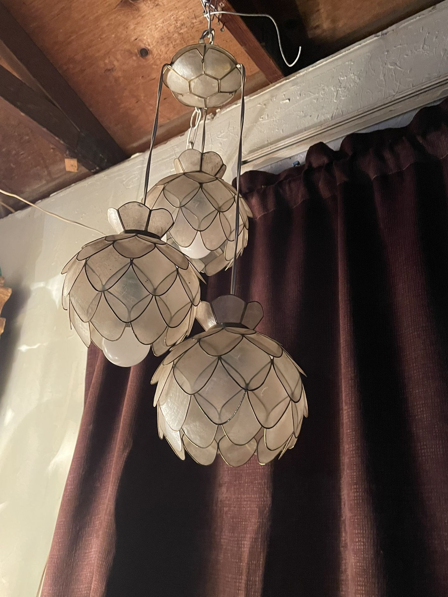 Shell Lamp 