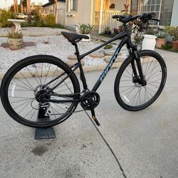 Giant Roam Bike