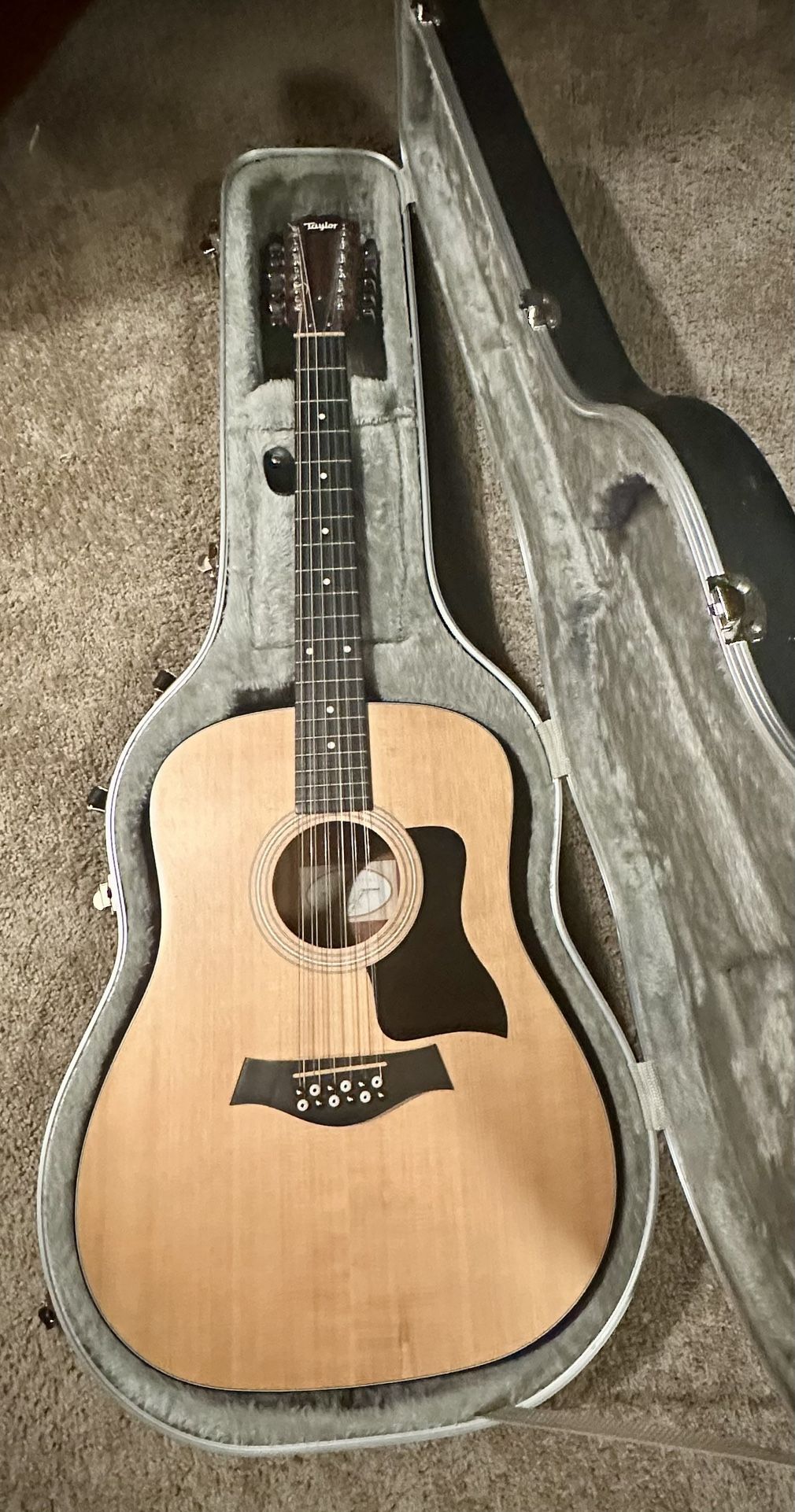 Taylor 12 String