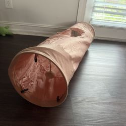 Cat Tunnel