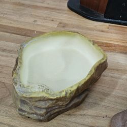 XL Water Bowl For Reptiles