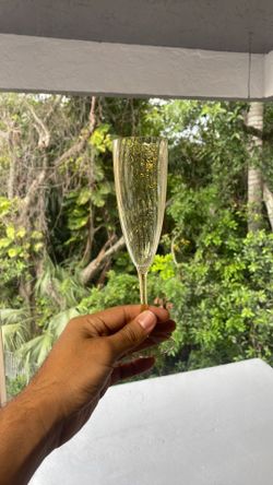 WDF 36 Pack Gold Glitter Plastic Champagne Flutes