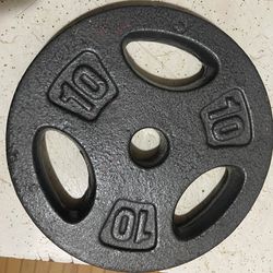 10 lb plate weights X2